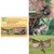 Insect Lures For Black Cut Worm (Agrotis Ipsilon)(Pack-10 Pcs)